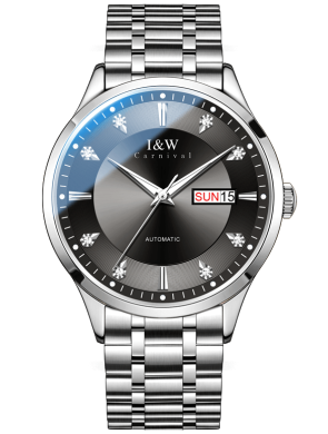 ng-ho-iw-carnival-55838g-avt-4