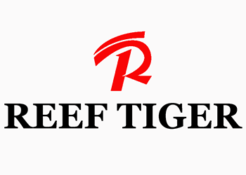 logo-reef-tiger